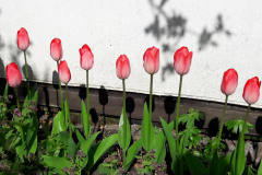 IMG_20260605_213823